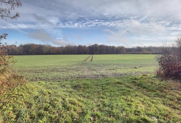 Clouds over field