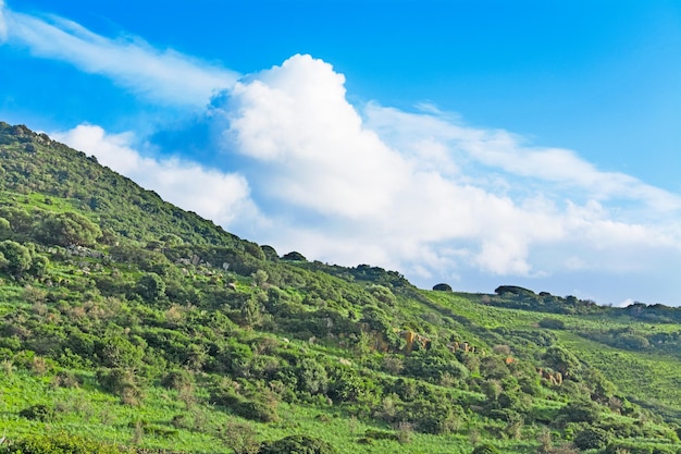 Облака над зеленым склоном холма