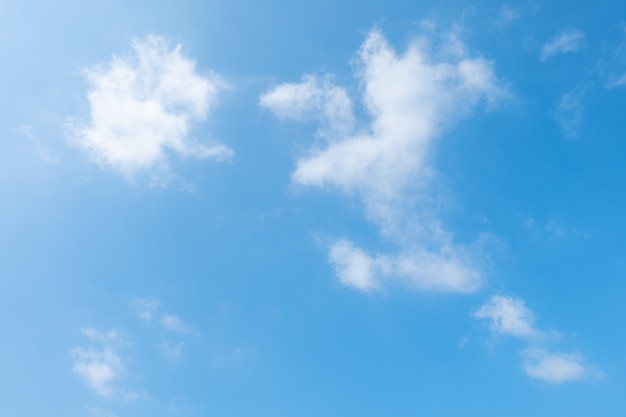 写真 青空の雲