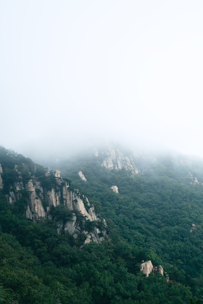 Clouds and mist in the park