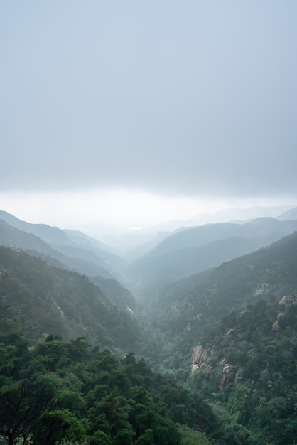 Clouds and mist in the park