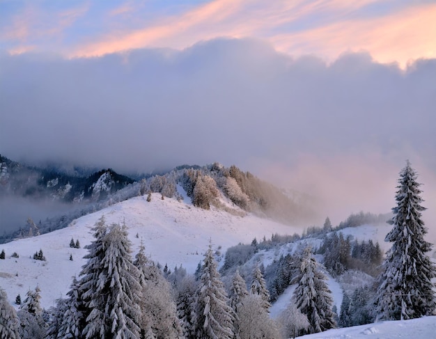 clouds over mountains in winter trees and snow at sunrise