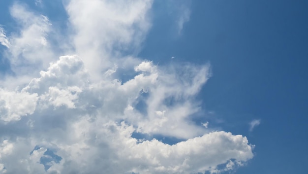 写真 青い空を背景に雲