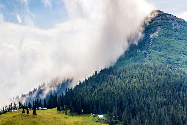 写真 緑の森と草の牧草地と山の上に雲