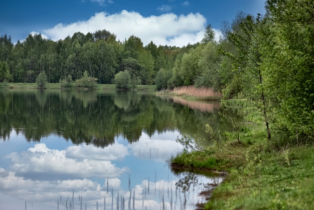 Le nuvole si riflettono sulla superficie del paesaggio del lago della foresta