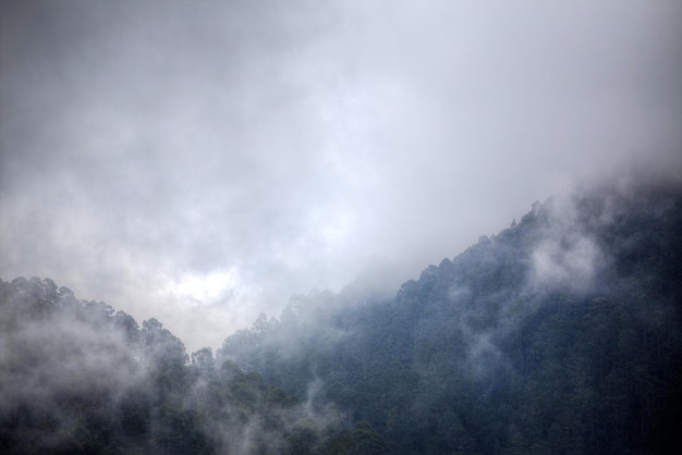 Clouds rest on the mountains