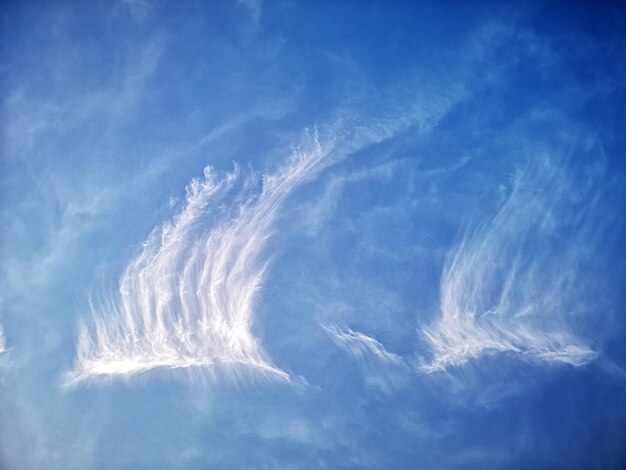 Premium Photo | Clouds shaped like angel wings