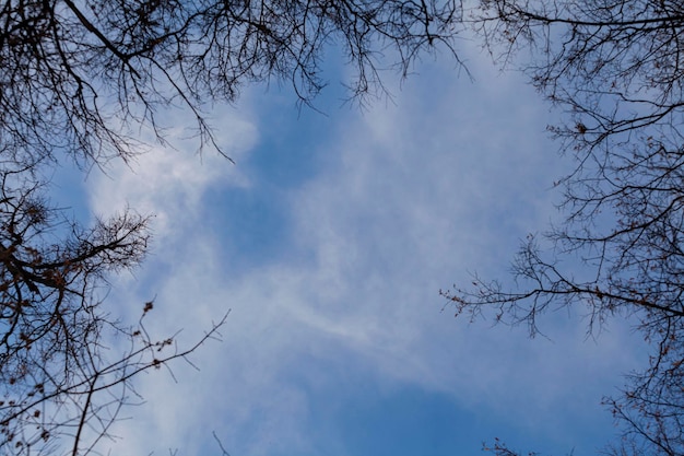 空の雲背景とレイヤー