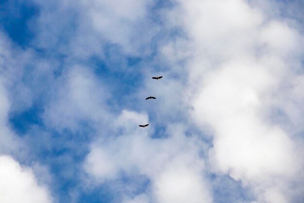 Clouds in the sky