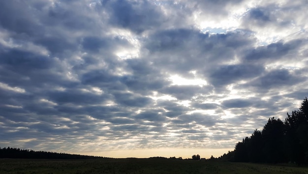 Clouds on the sunset sky outside the city on a summer day