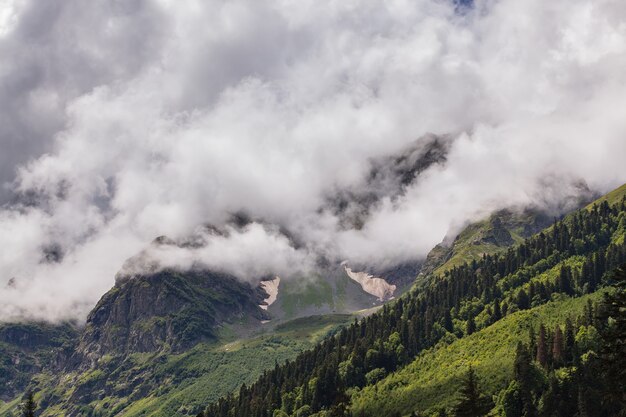 木々が生い茂るロッキー山脈の頂上に浮かぶ雲