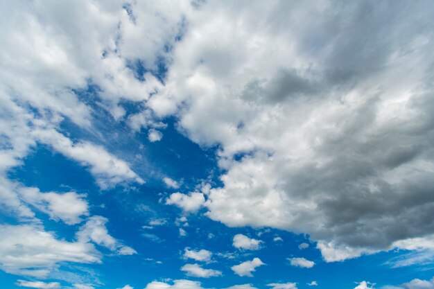 Cloudscape 배경