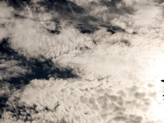 Photo cloudscape, colored clouds at sunset near the ocean