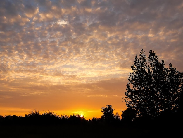 Cloudscape, Colored Clouds at Sunset near the Ocean