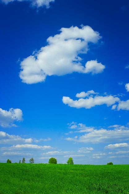 Cloudscape groen gras blauwe lucht