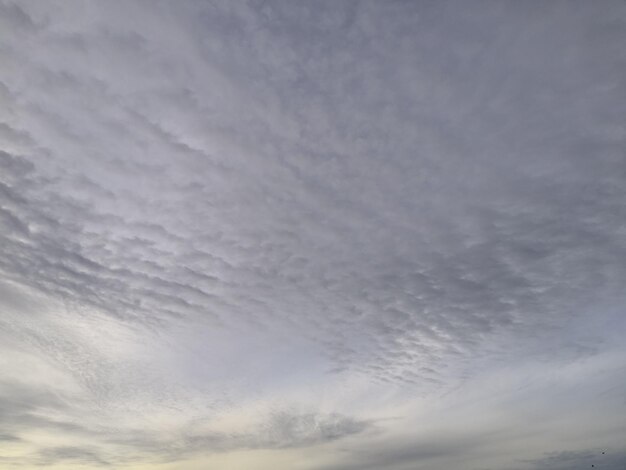 Cloudscape met blauwe lucht en witte wolken