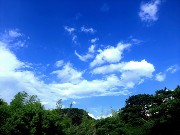 Cloudscape and skyscape