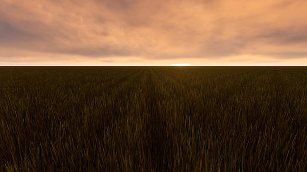 Cloudy dawn on the field 3D Render