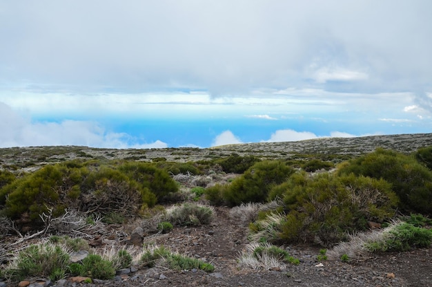 Cloudy Day in El Teide National Park Tenerife Canary Islands Spain