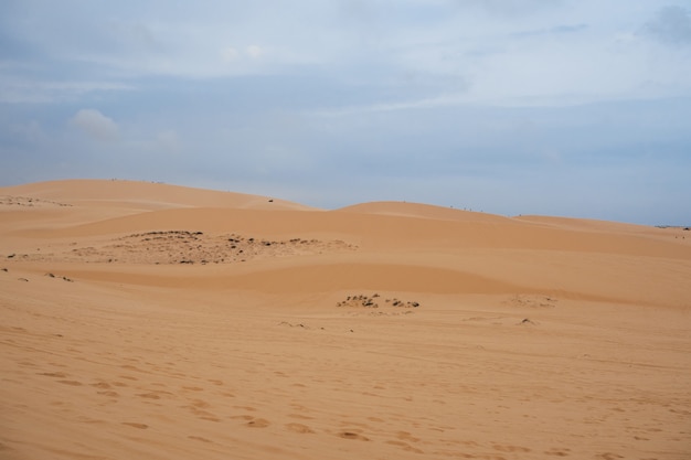 曇りの砂漠の風景