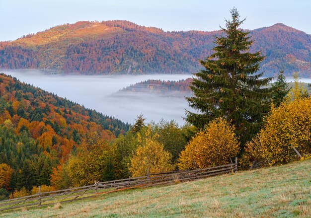 Cloudy and foggy autumn mountain early morning pre sunrise scene Ukraine Carpathian Mountains Transcarpathia