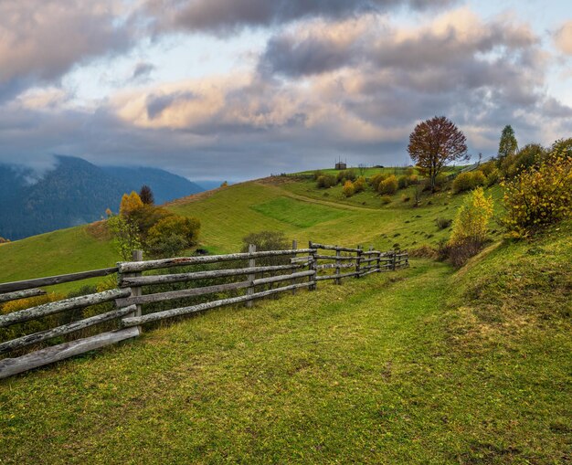 Cloudy and foggy day autumn mountains scene Peaceful picturesque traveling seasonal nature and countryside beauty concept scene Carpathian Mountains Ukraine