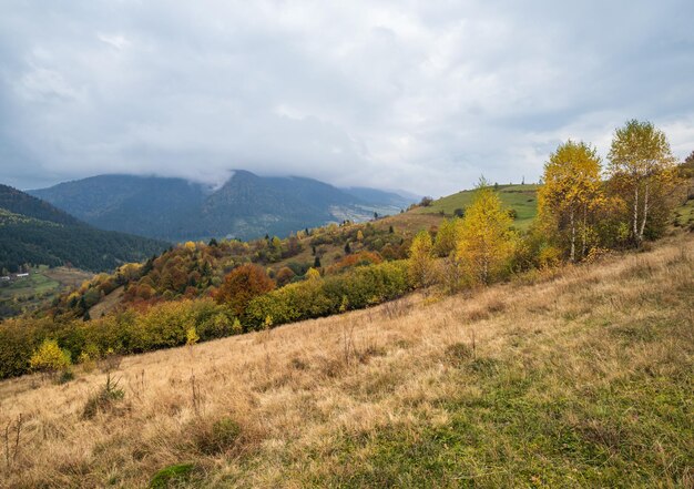 Cloudy and foggy day autumn mountains scene Peaceful picturesque traveling seasonal nature and countryside beauty concept scene Carpathian Mountains Ukraine