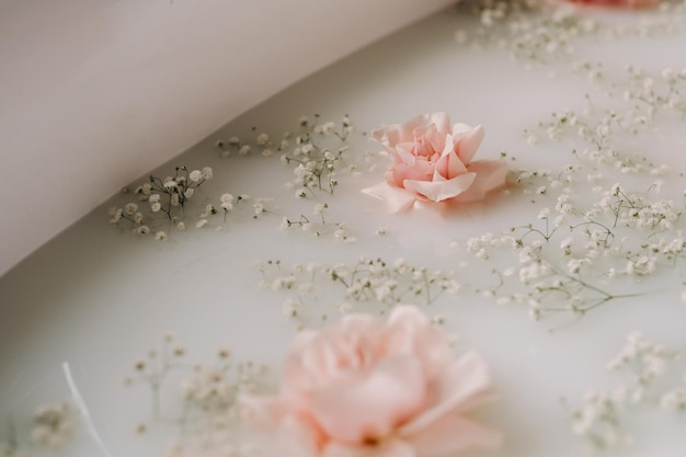 Cloudy milky soap water in a bath with rose flowers