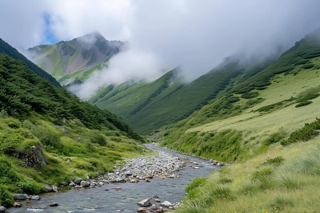 滝の近くの曇った自然の風景