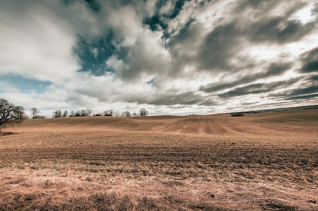 写真 春の畑の上の曇り空