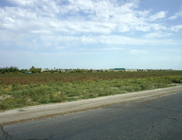 Cloudy sky over agricultural field