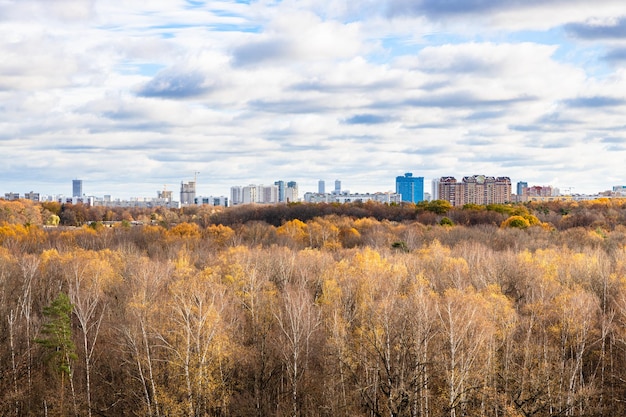 Cielo nuvoloso sopra il parco autunnale e le case all'orizzonte