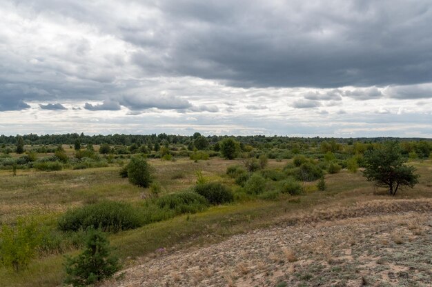 Cloudy sky Cloudy horizon Young forest in the field Scenery