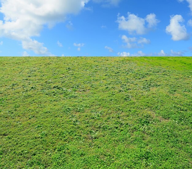 緑の牧草地の曇り空