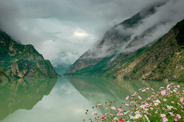 The cloudy sky is reflected in a lake in a mountainous region of Sichuan, China. Pink and white flowers grow on the shore