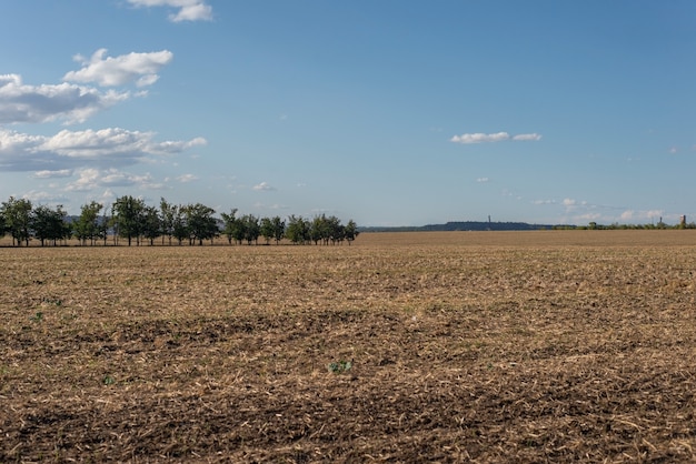 Cloudy sky landscape fields with nature trees.