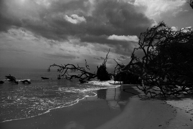 Photo cloudy sky above sea