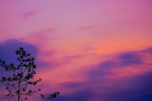 Cloudy Sky during Sunset