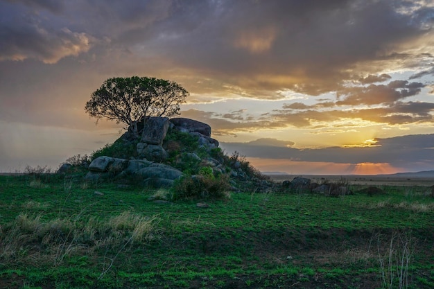 Cloudy sunset at Serengeti National Park.