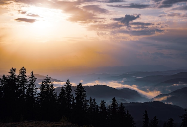 Cloudy weather over hills covered with spruce forests in\
rhodope mountains and fog between mountain ranges