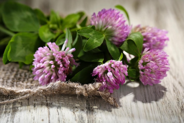 Clover flowers with leaves on wooden background