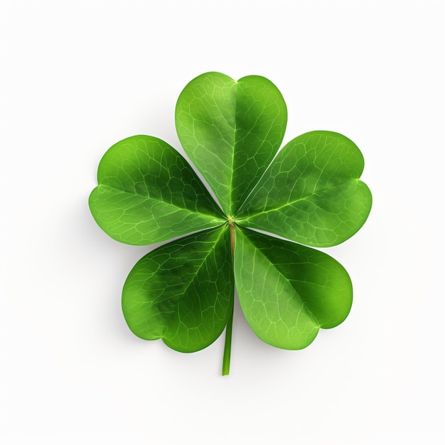 Clover leaf isolated on white background