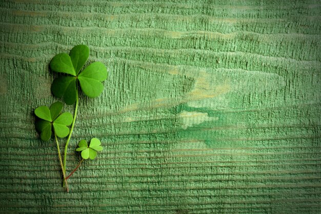 Photo clover leaves on green wooden table flat lay with space for text st patrick39s day symbol