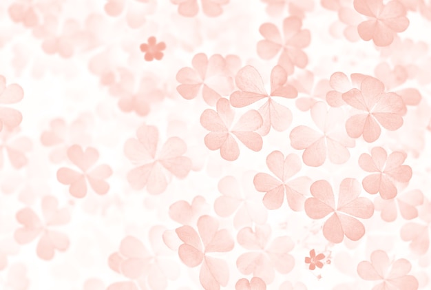 Clover leaves in pink tinting