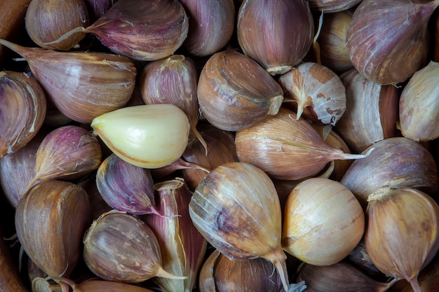 Cloves of fresh garlic