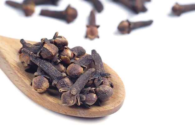 Cloves spices in spoon on bright background