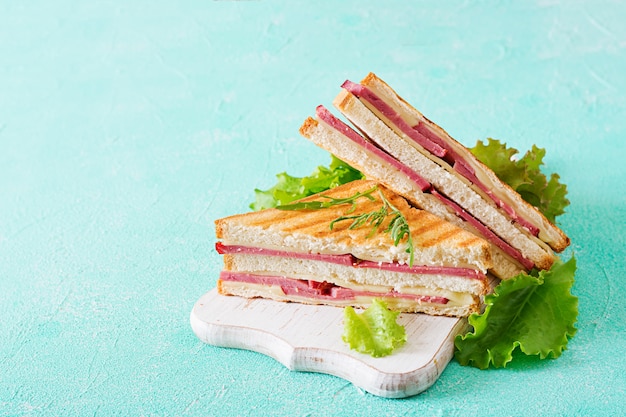 클럽 샌드위치-밝은 배경에 햄과 치즈 파니니. 피크닉 음식.