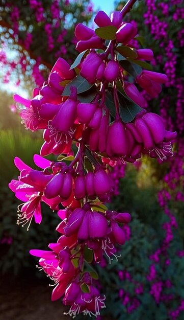 A cluster of bright pink flowers with the word " love " on the side.