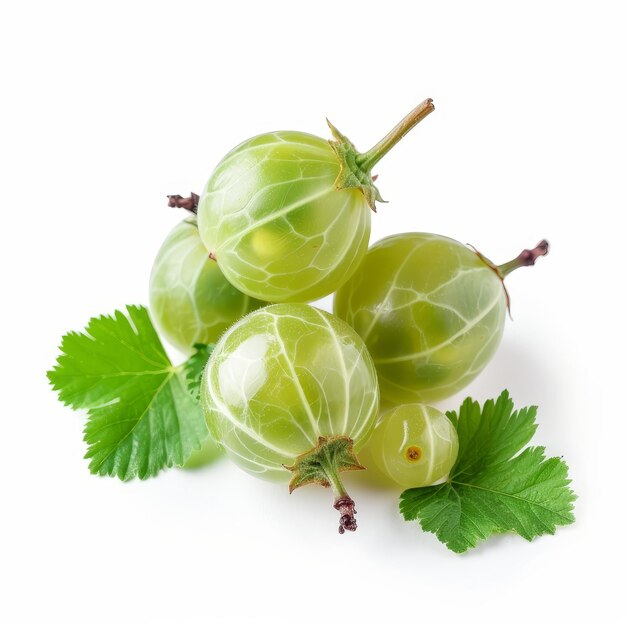 Cluster of ripe green gooseberries with a leaf accent on a white backdrop