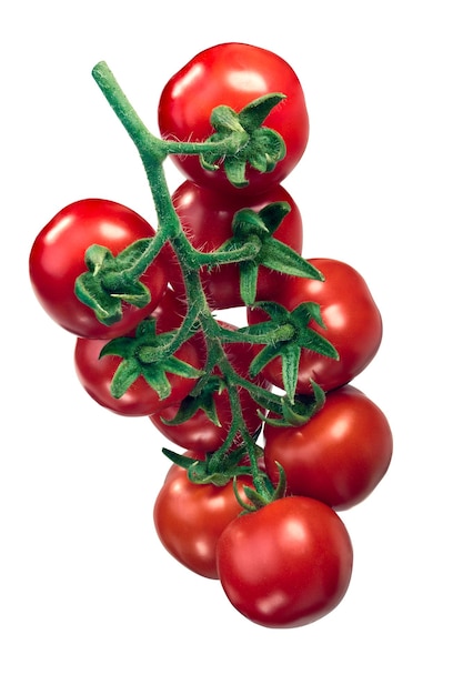 Photo cluster of tomatoes on the vine tov hanging